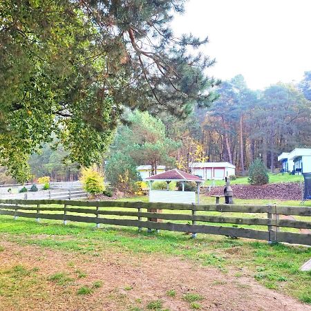 Вілла Tiny House Ueckeritz Екстер'єр фото